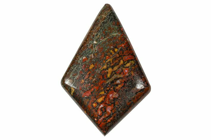 Polished Dinosaur Bone (Gembone) Cabochon - Colorado #370711